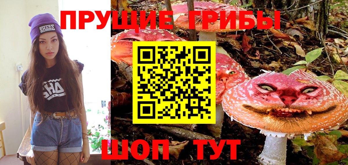 Псилоцибиновые грибы Psilocybe Ростов Великий